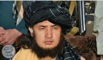 طالبان: مولوی مهدی مجاهد کشته شد