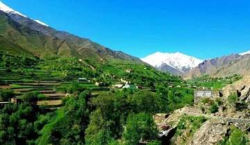 طالبان، 8 خانواده را از شهرستان دره کوچ دادند