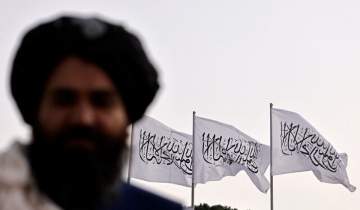چرا جهان به طالبان نیازمند است؟